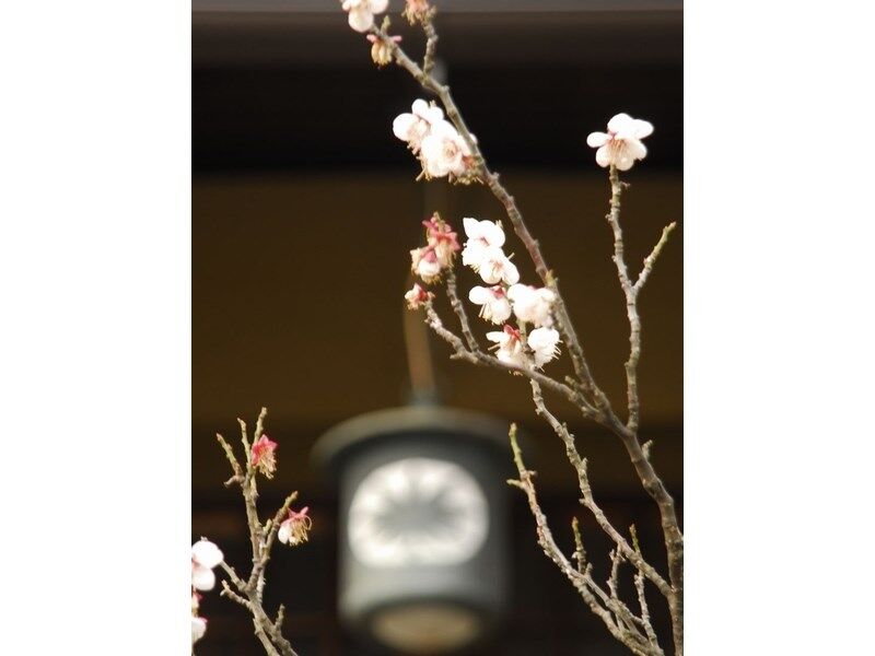 Atami Taikansou Esterno foto