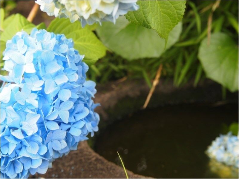 Atami Taikansou Esterno foto